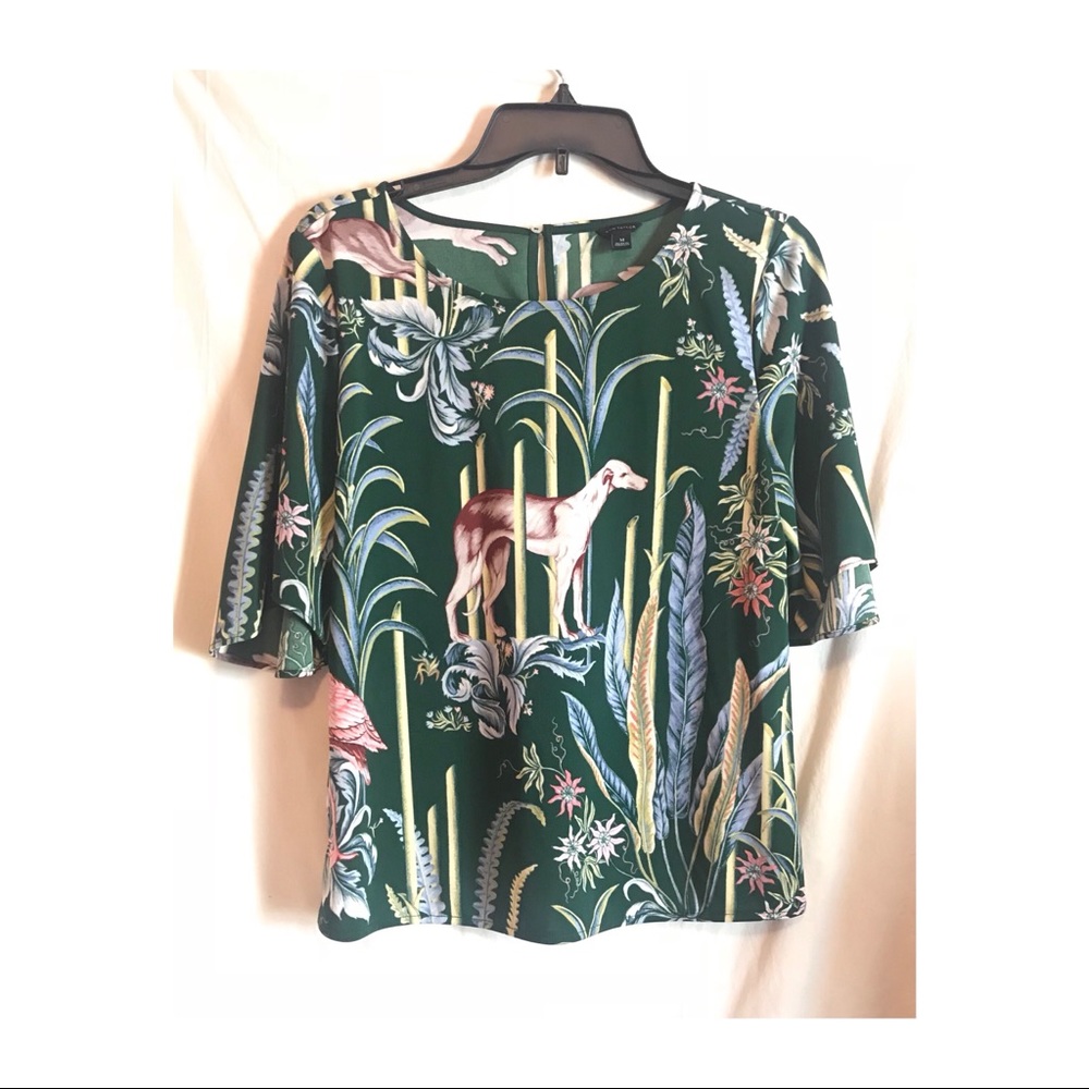 Ann Taylor shirt